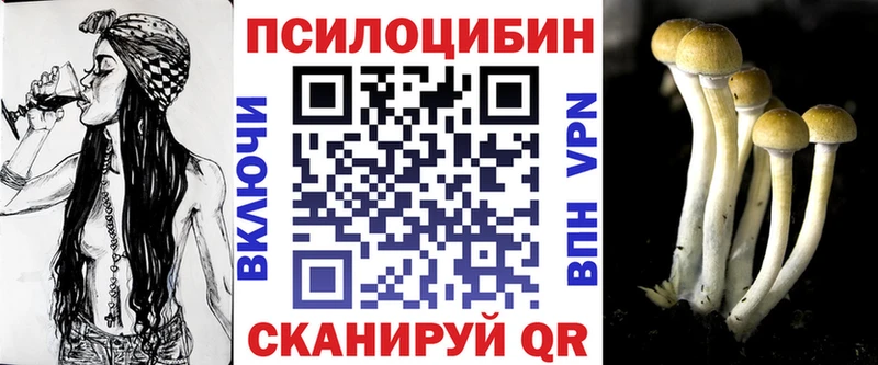 Псилоцибиновые грибы мухоморы  где купить наркоту  Петропавловск-Камчатский 